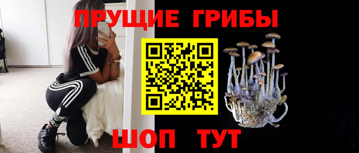 Галлюциногенные грибы мицелий Белорецк